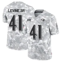 Men's Anthony Levine Sr. Baltimore Ravens No.41 Limited 2024 Salute to Service Jersey - Arctic Camo