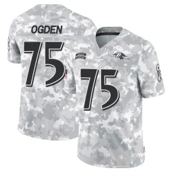 Men's Jonathan Ogden Baltimore Ravens No.75 Limited 2024 Salute to Service Jersey - Arctic Camo